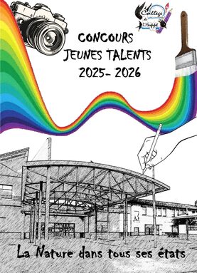 Affiche du concours
